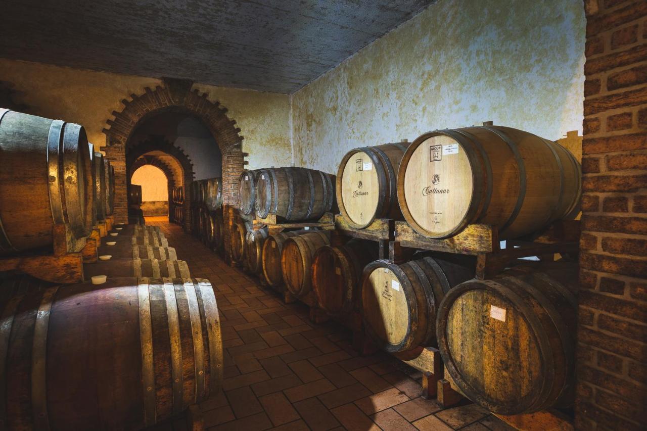 Wine Residence Cattunar Brtonigla Extérieur photo
